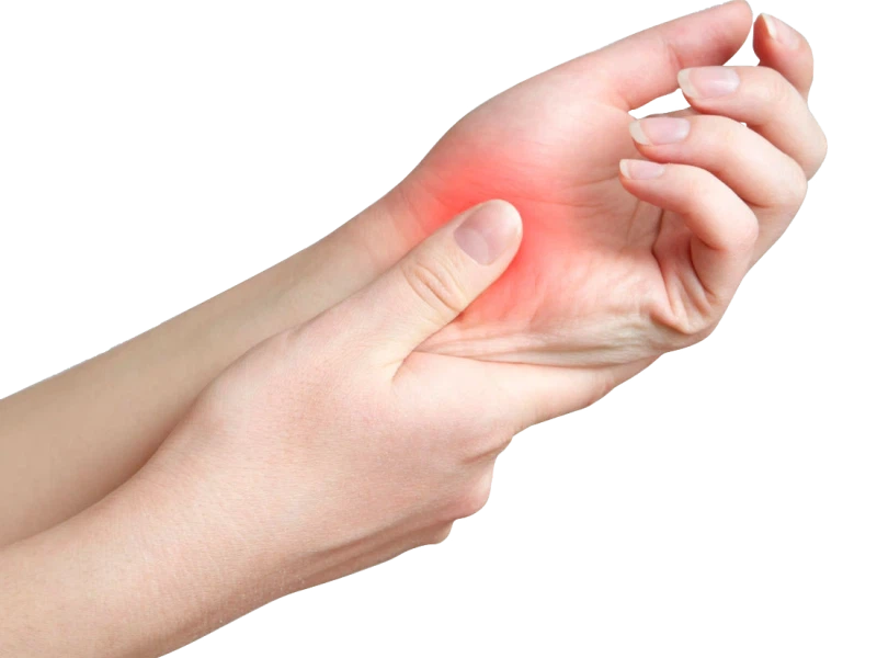 product-800-600 product-800-600