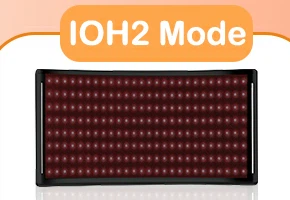 product-290-200 product-290-200